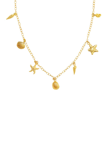 Seashell Charm Necklace